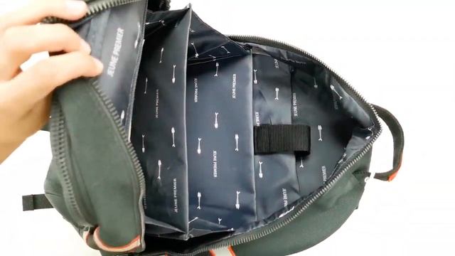 Рюкзак Backpack James Tiger Twins, Jeune Premier, арт. BJ смотреть онлайн