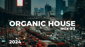 Organic House Mix #3 2024 by Carey Q