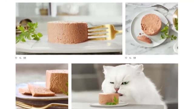 Purina Gourmet Mousse Pate смотреть онлайн