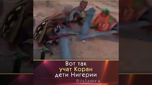 Как учат Коран дети Нигерии смотреть онлайн