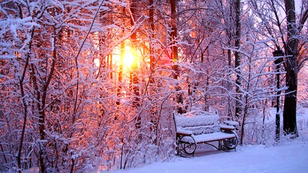 Алексей Глызин - "Зимний сад"