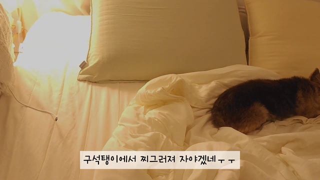 vlog|자취브이로그,자취식비31,900원으로 볶음우동, 🥘김치찌개, 쌀국수,군만두,무피클,오이피클,대패삼겹볶음 만들어 먹는 일상 смотреть онлайн