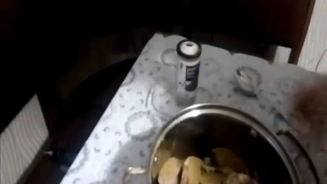 Любимая кухня с Ксенией