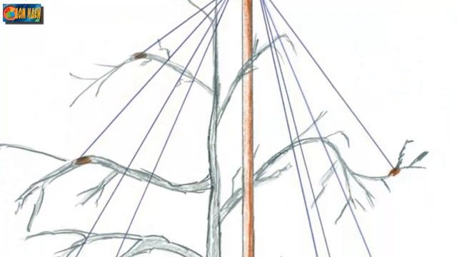 Опоры для веток и кустов. Подпорки для сада своими руками. смотреть онлайн