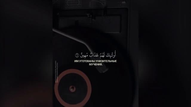 Shareef Mustafa Surat: « 31 - Luqman » коран quran смотреть онлайн