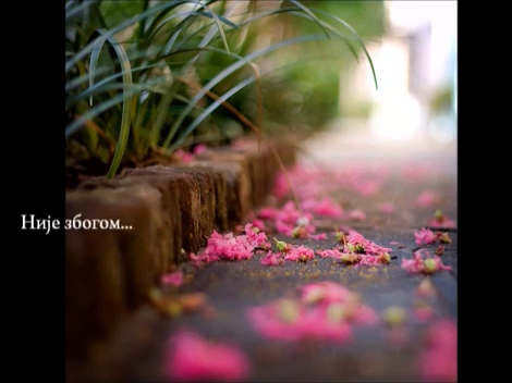 Laura Pausini - It-s not goodbye (Српски превод)_x264 смотреть онлайн