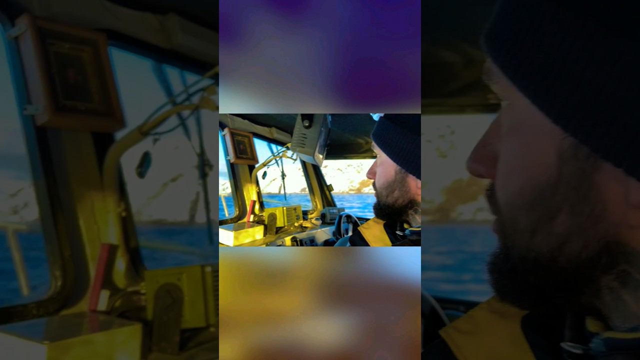 14 дней и 12000 км за 30 секунд смотреть онлайн