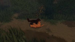 Коты воители - последняя битва Огнезвёзда Warriorcats roblox