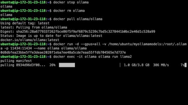 How to run Ollama on Docker