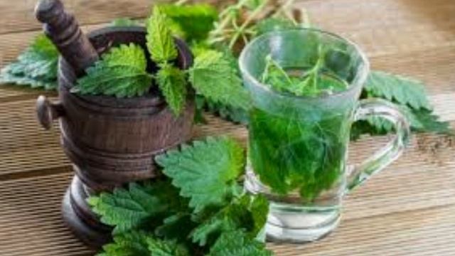 ВЫВОДИМ МОЧЕВУЮ КИСЛОТУ С ПОМОЩЬЮ НАРОДНОЙ МЕДИЦИНЫ.