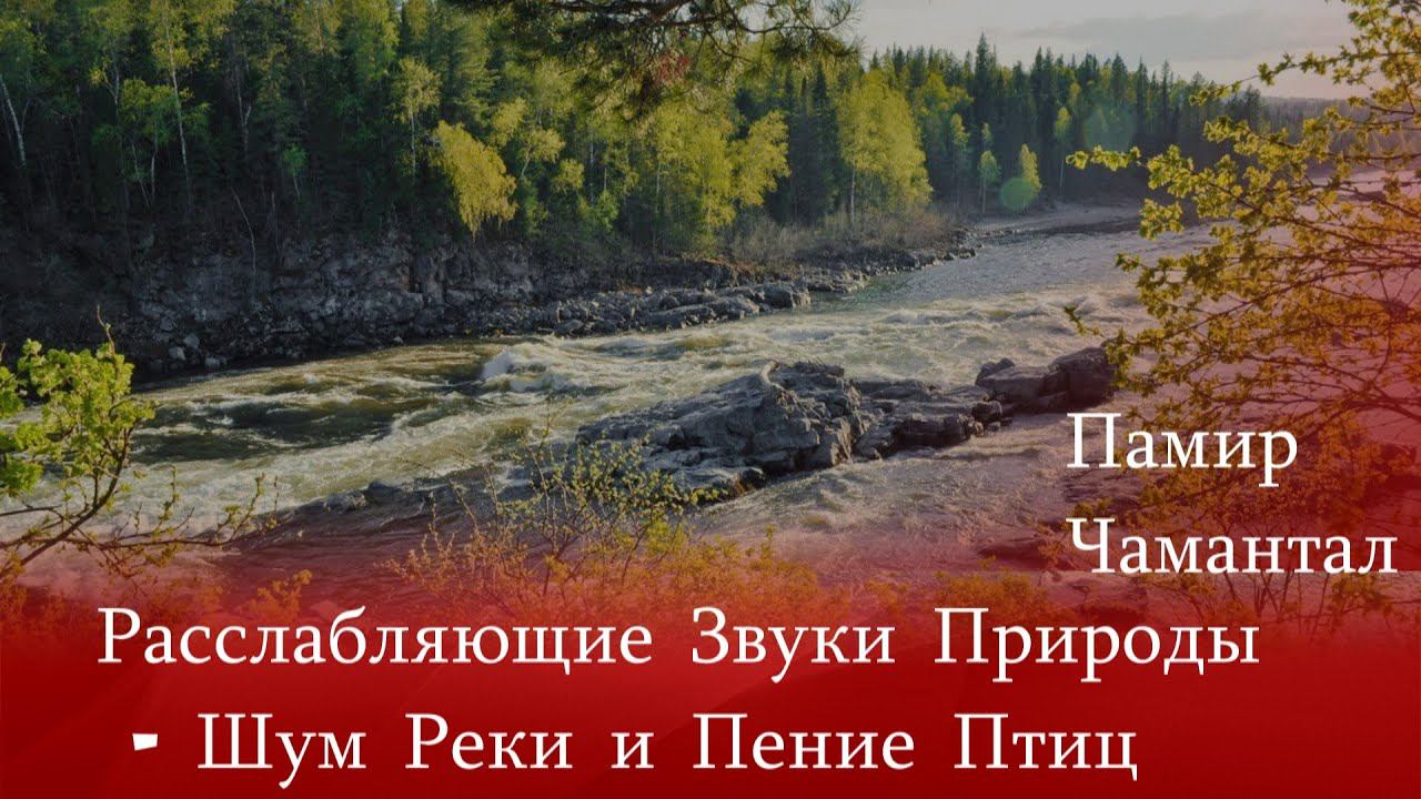 Расслабляющие Звуки Природы - Шум Реки и Пение Птиц Памир Чамантал смотреть онлайн