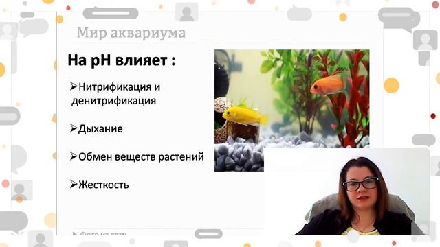 Урок 8. Вода и ее химический состав, физические свойства. Тесты. смотреть онлайн