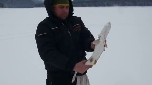 Рыбалка на КВХ залив Езагаш. смотреть онлайн