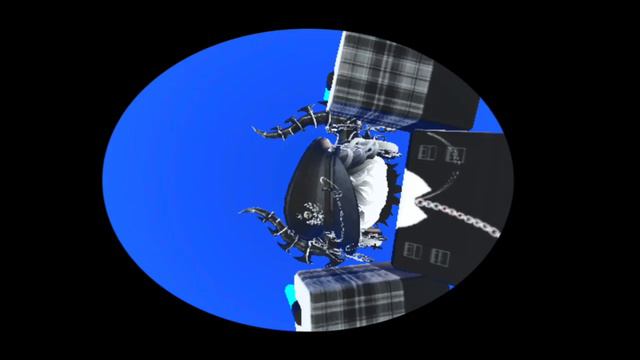 Pedro Pedro Pedro Pe