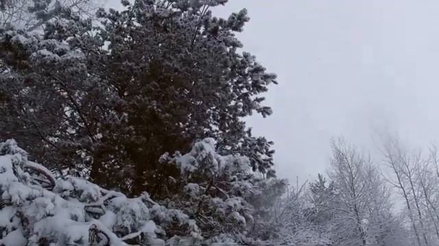 Зимний поход выходного дня на Матырское водохранилище 11.01.2020 (YI lite action cam) смотреть онлайн