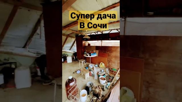 Супер дача в Сочи #сочи #недвижимость #sochi #домвсочи #свойдом #сочинедвижимость #дача #отдыхвсочи смотреть онлайн
