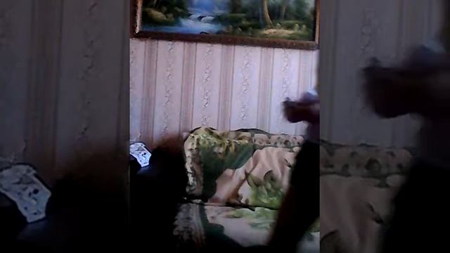 учимся играть в игру "ромашка желаний " смотреть онлайн