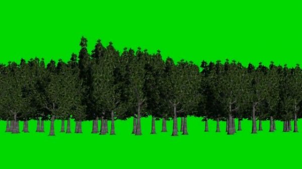 forest green screen - background green and blue - free green screen - free use