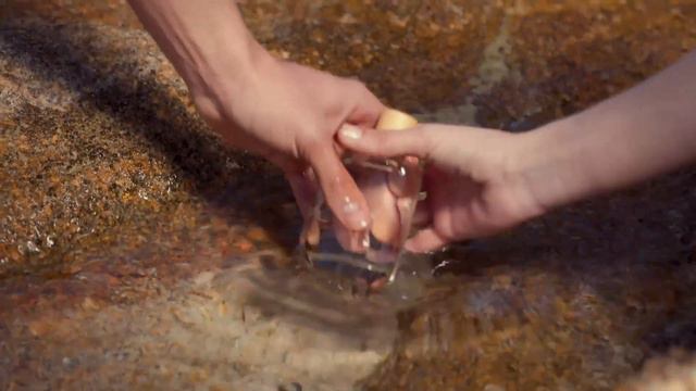 REPLAY SOURCE OF LIFE смотреть онлайн