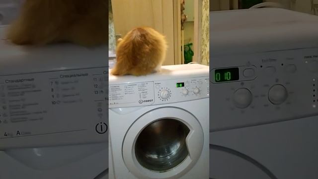 indesit iwud 4105 смотреть онлайн