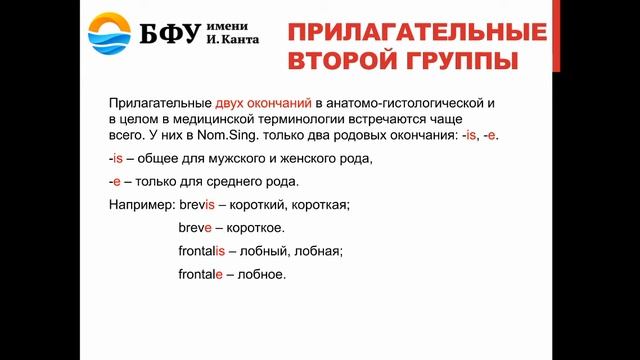 Имя прилагательное в латинском языке смотреть онлайн