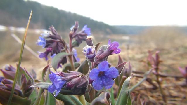Сплав по реке Чусовая май 2019 (Журавлик - Чусовой) смотреть онлайн