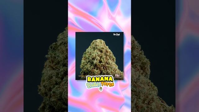 WINGS & FLY 2021 смотреть онлайн