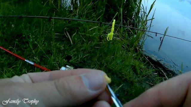 Лучшая наживка для ловли в Польше.Ловля линя и золотого карася. смотреть онлайн