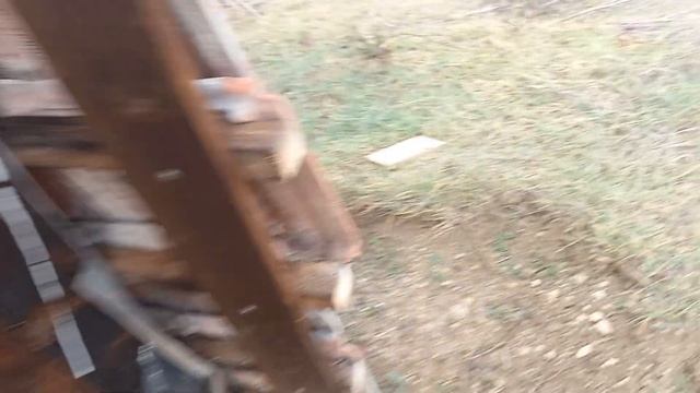 апидомики на пасеке смотреть онлайн
