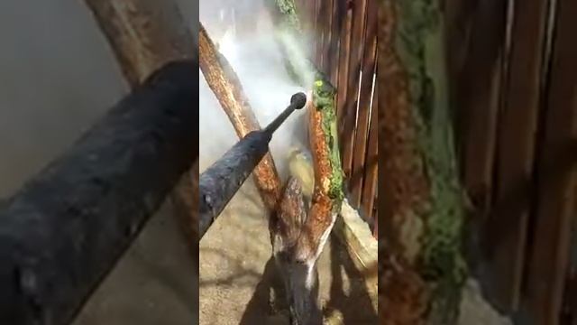 Мастерство и Индивидуальное Творчество