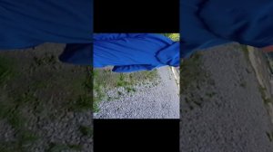 Курочки 1 сезон 1 серия (закрытый садик)