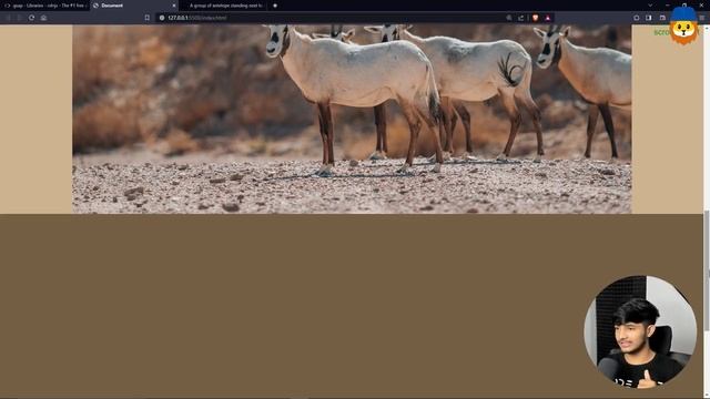 20.4 GSAP - Understanding Pin Property In ScrollTrigger