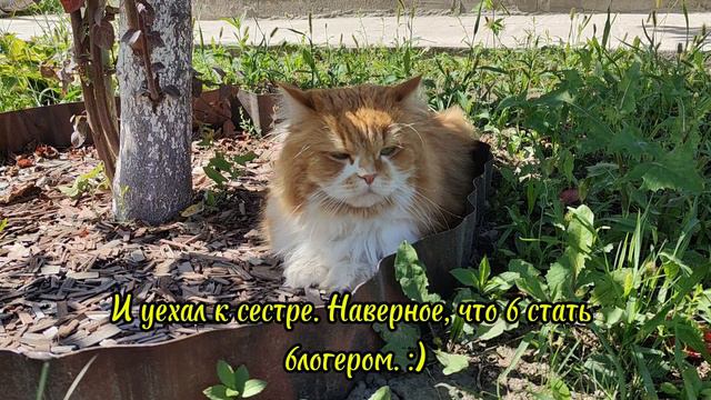 Биги и его не выдуманная история смотреть онлайн