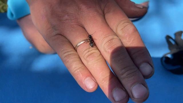 Путь 1300 км на мопедах Альфа. Степи, озёра и горы смотреть онлайн