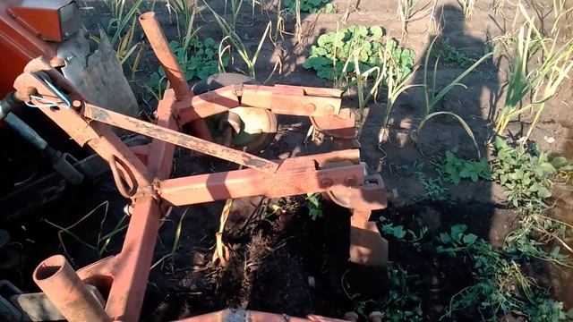убираем чеснок скобой на минитракторе уралец 180