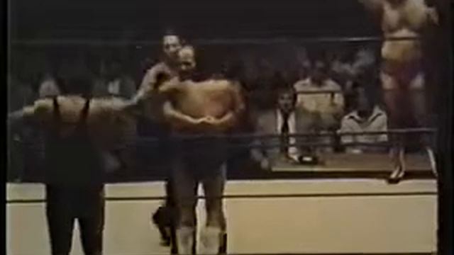 Johnny Weaver & Jay Youngblod vs Gene Anderson & Swede Hansen смотреть онлайн