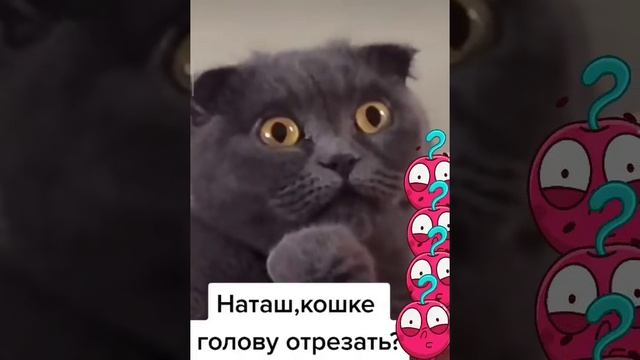 Отвлекись и улыбнись!