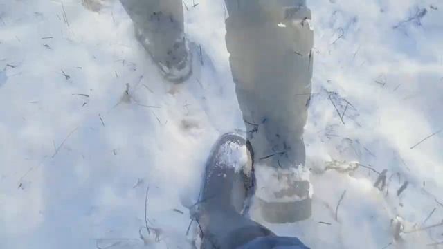 Зимние сапоги NORA THERMIC+ green смотреть онлайн