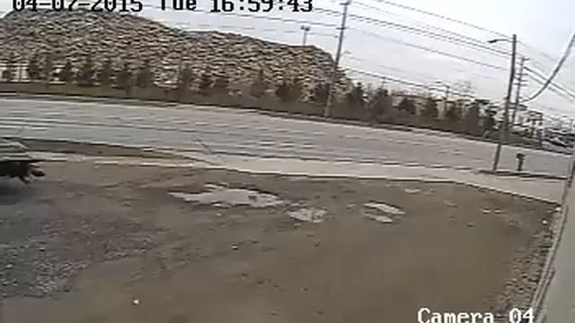 700 TVL 960H Security Camera Installation