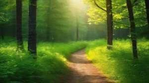 ЗВУКИ ЛЕТНЕГО ЛЕСА