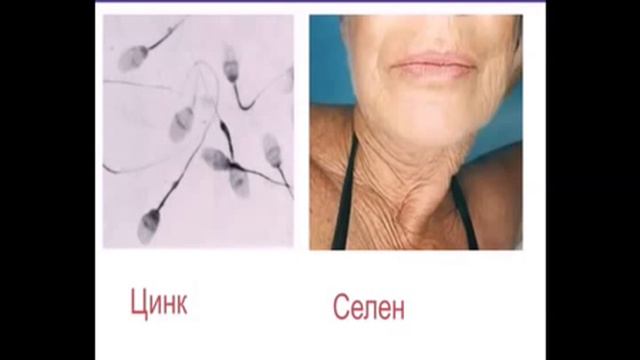 Wellness by ORIFLAME или как похудеть с умом смотреть онлайн