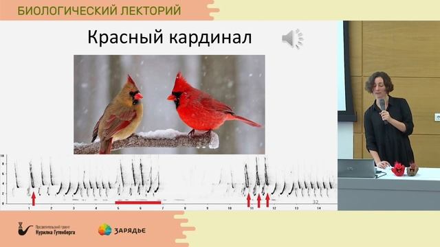 13.12.19 Почему птицы поют смотреть онлайн