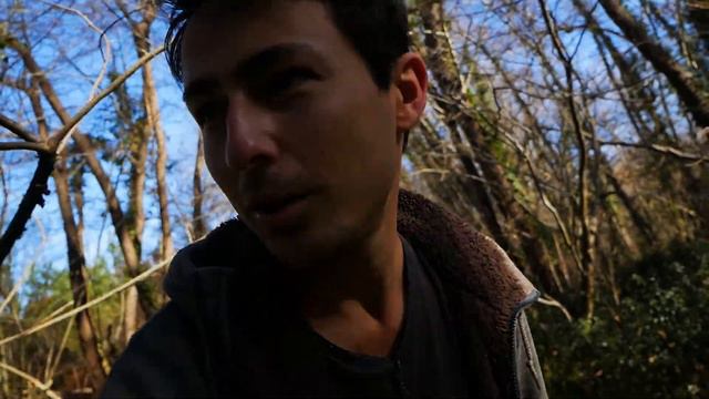 Harvesting wild garlic in the woods | Delicious, abundant and gorgeous смотреть онлайн
