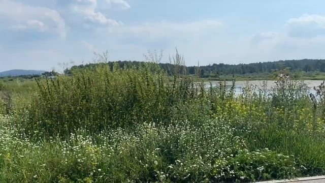 поездка в родной город| моё 20-ти летие смотреть онлайн