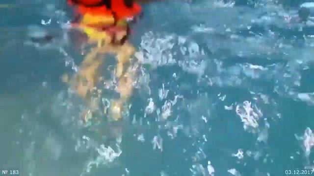 ЗоЛиКс. № 183. Аквапарк. Часть 1. 03.12.2017 смотреть онлайн