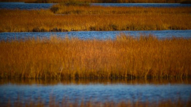 С Днём Рождения! ► Борис Шварцман | Поздравление на день рождения! смотреть онлайн