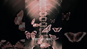 Оля ля-бабочки🦋