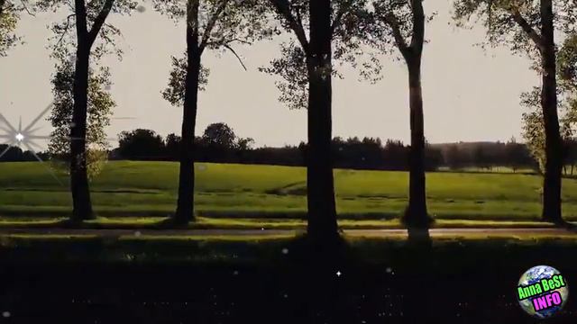 Возьмите желудь, покрасьте его золотой краской и всегда носите с собой. смотреть онлайн
