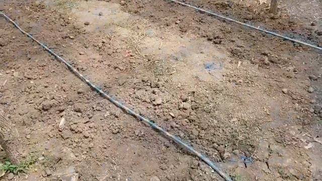 10 ОВОЩЕЙ,которые стоит посадить на ВТОРОЙ оборот. смотреть онлайн