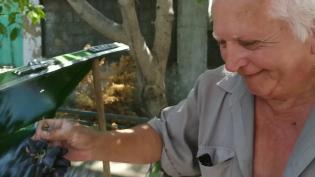 Огляд деяких г.ф. винограду на 13.08.22р (✷‿✷) смотреть онлайн